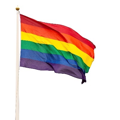 A rainbow pride flag.