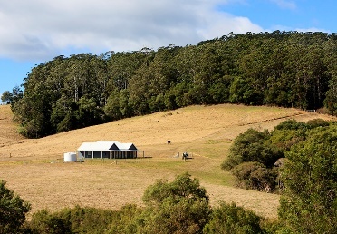 A rural house in the middle of farm land. 